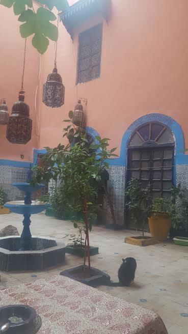 Dar Kader A